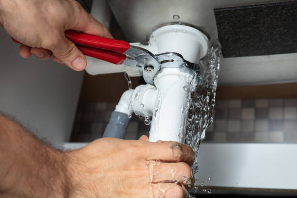 Best Flood restoration services  in Owatonna, MN