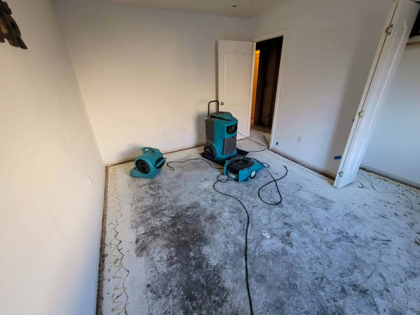 Best Water damage contractors near me  in Owatonna, MN