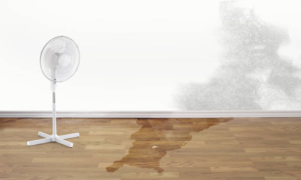 Best Commercial water damage restoration  in Owatonna, MN