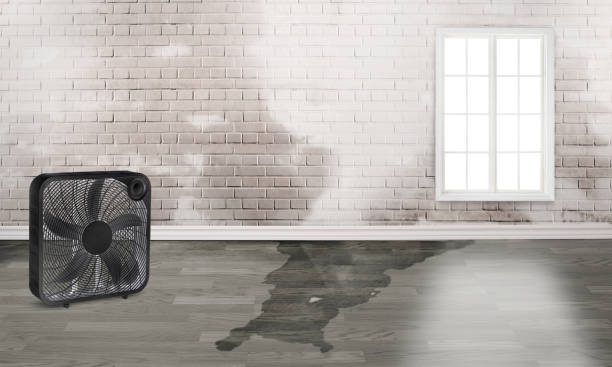 Best 24-hour water damage restoration  in Owatonna, MN