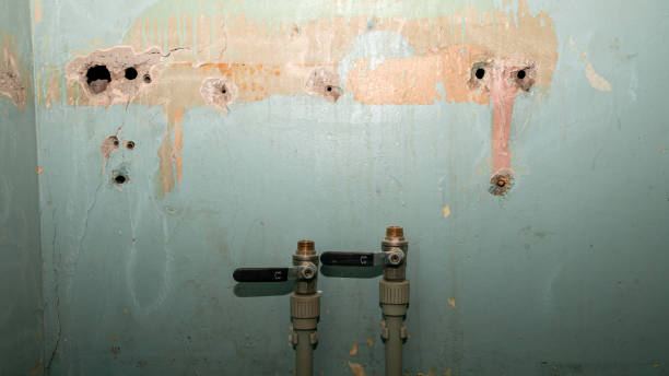 Best Fire Damage Restoration  in Owatonna, MN