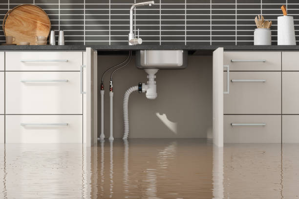 Best Fire Damage Restoration  in Owatonna, MN