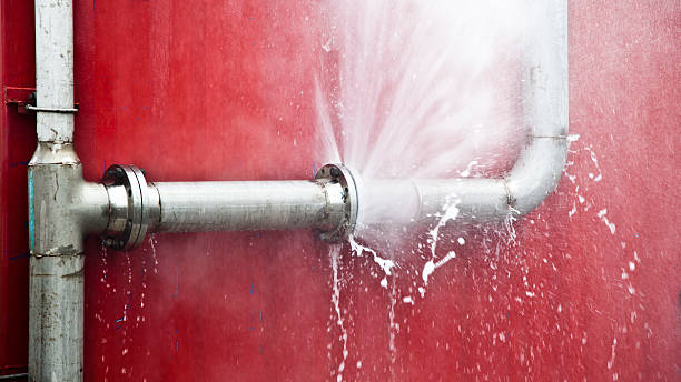 Best Sewage cleanup and water damage restoration  in Owatonna, MN