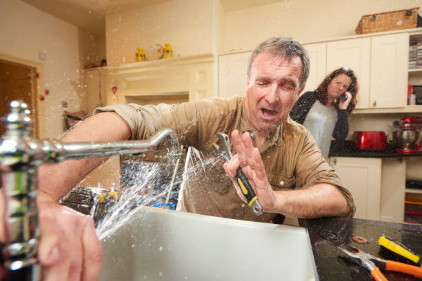 Best Basement water damage restoration  in Owatonna, MN